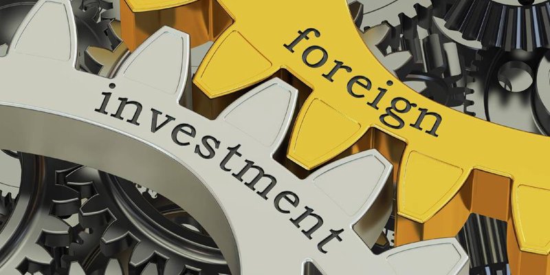ninvest资本